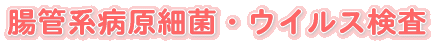ǌna׋ہEECX 